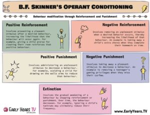 Control Trait Examples Controlling Behaviour: Key Examples and Impact