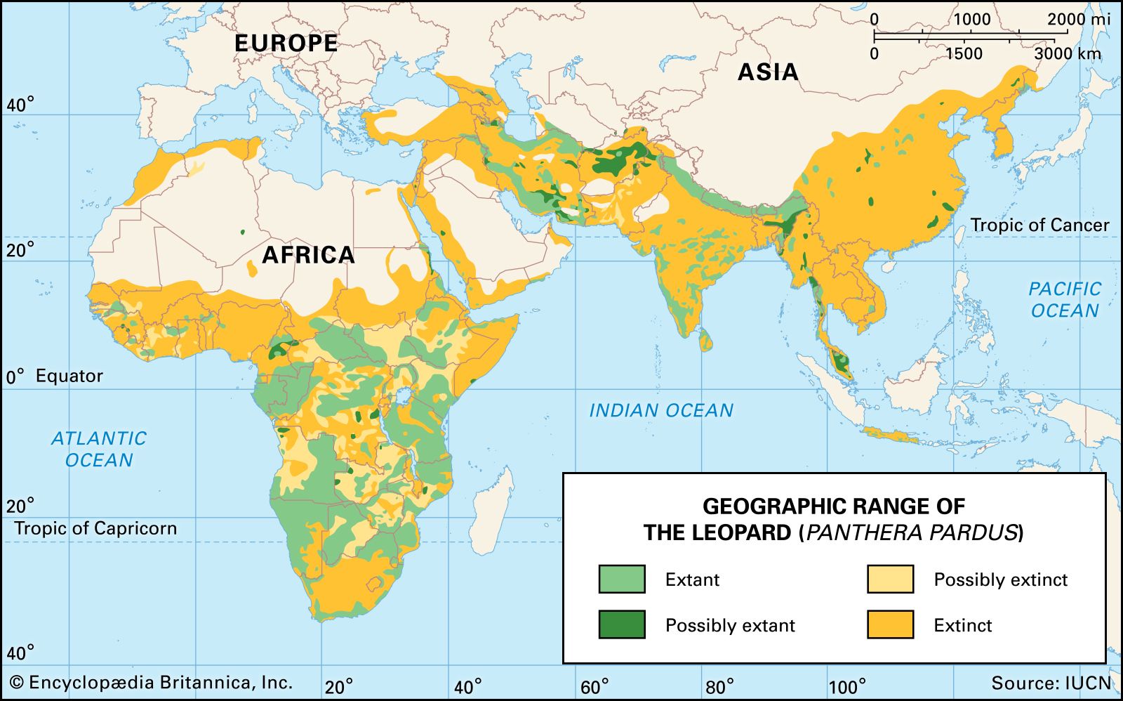 current geographic range of the species key examples explained