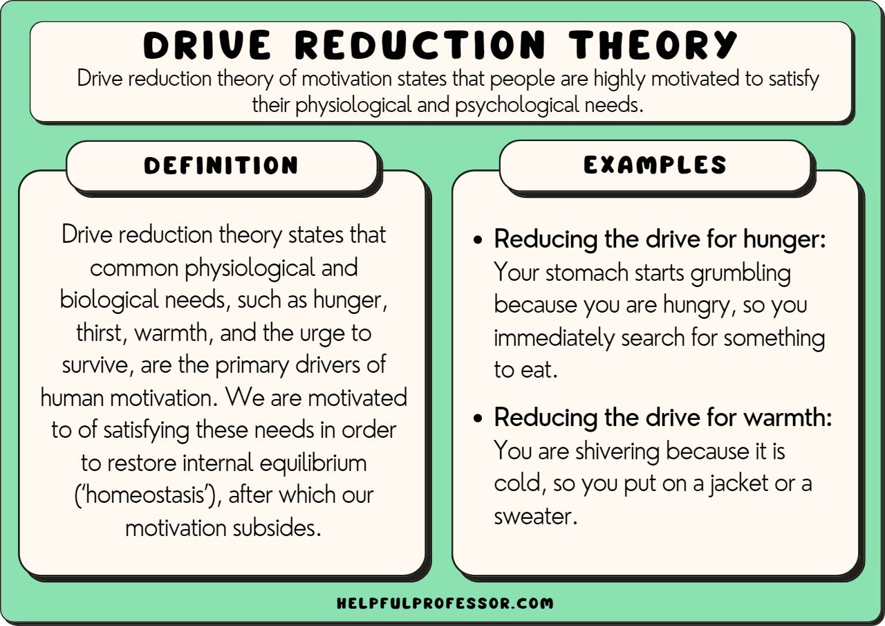 drive reduction theory examples explained