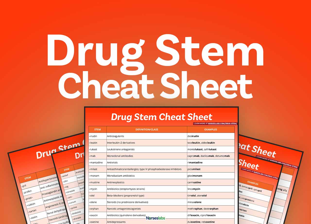 drug classifications key examples explained