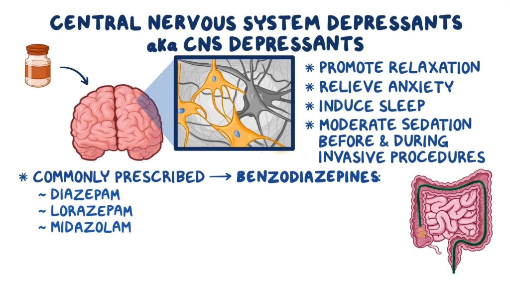 drugs that slow down the central nervous system explained