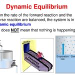 dynamic equilibrium key examples explained