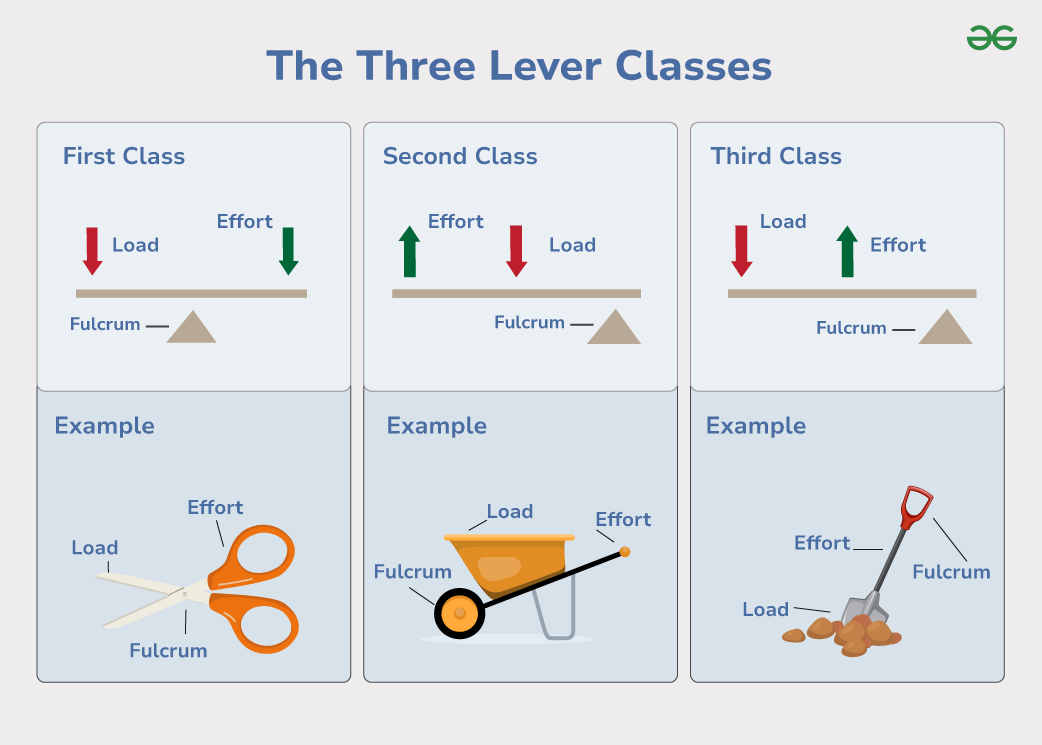 each class of lever and its unique features