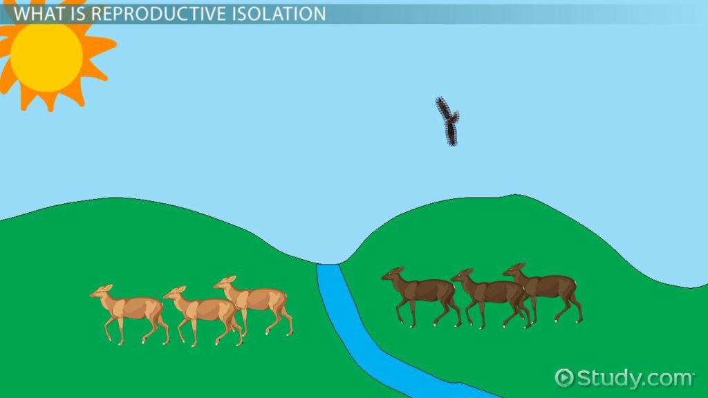 ecological isolation definition and examples in biology