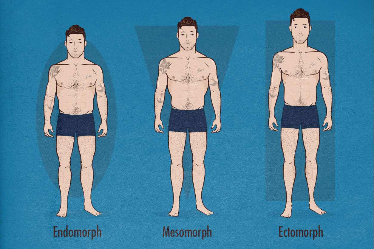 ectomorph vs endomorph key differences and fitness tips
