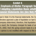 Emphasis of Matter Paragraph Examples in Financial Reporting emphasis of matter paragraph examples in financial reporting
