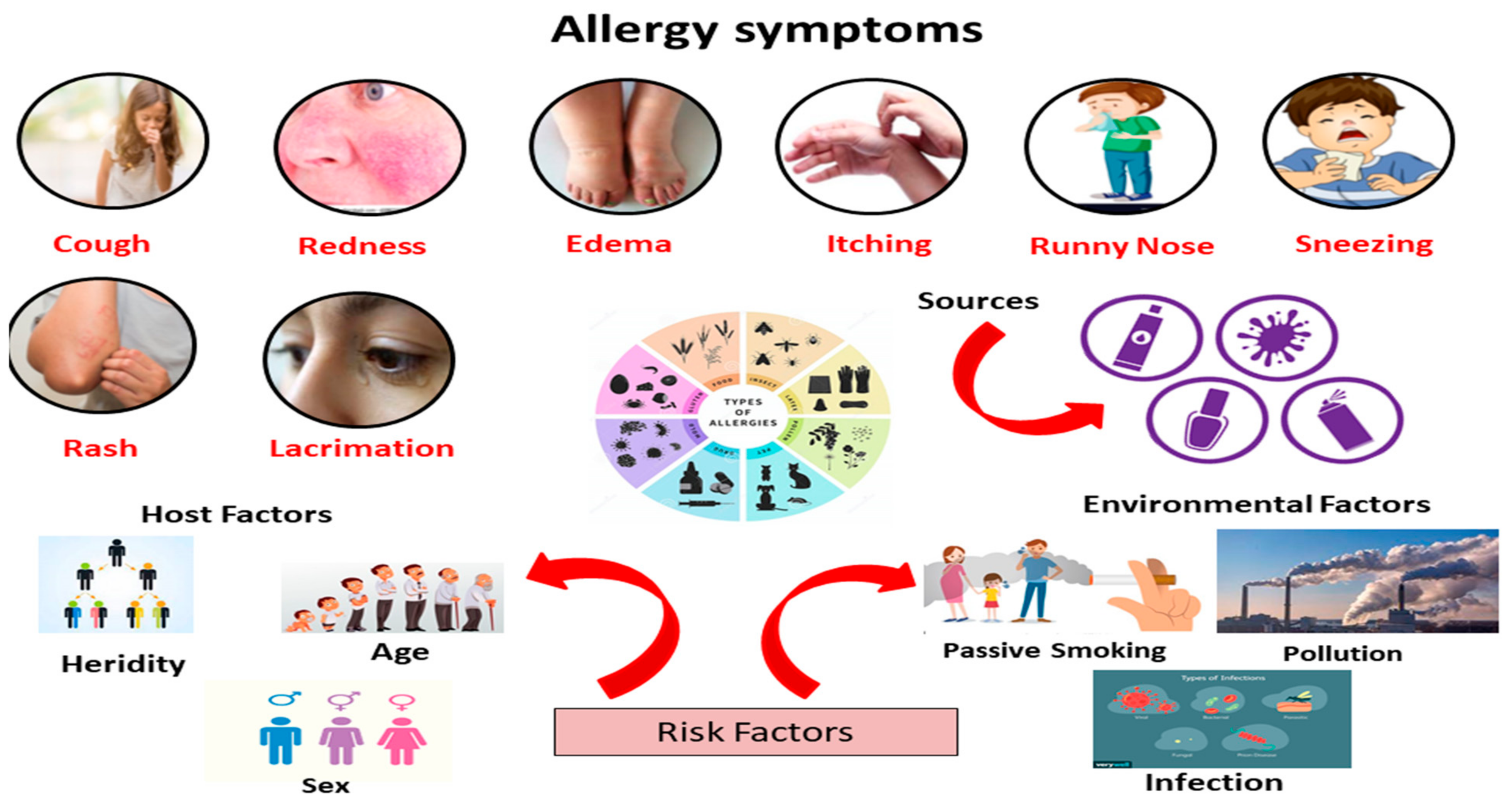 environmental allergies common triggers explained