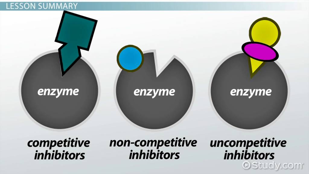 enzyme inhibitor examples and their applications