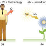examples illustrating the first law of thermodynamics explained