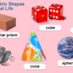 examples of 2d and 3d shapes in everyday life