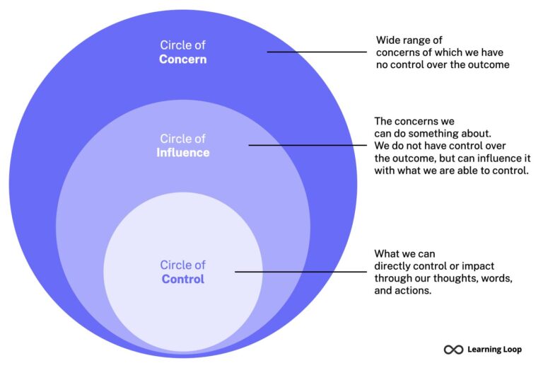 Examples of a Circle of Influence for Success