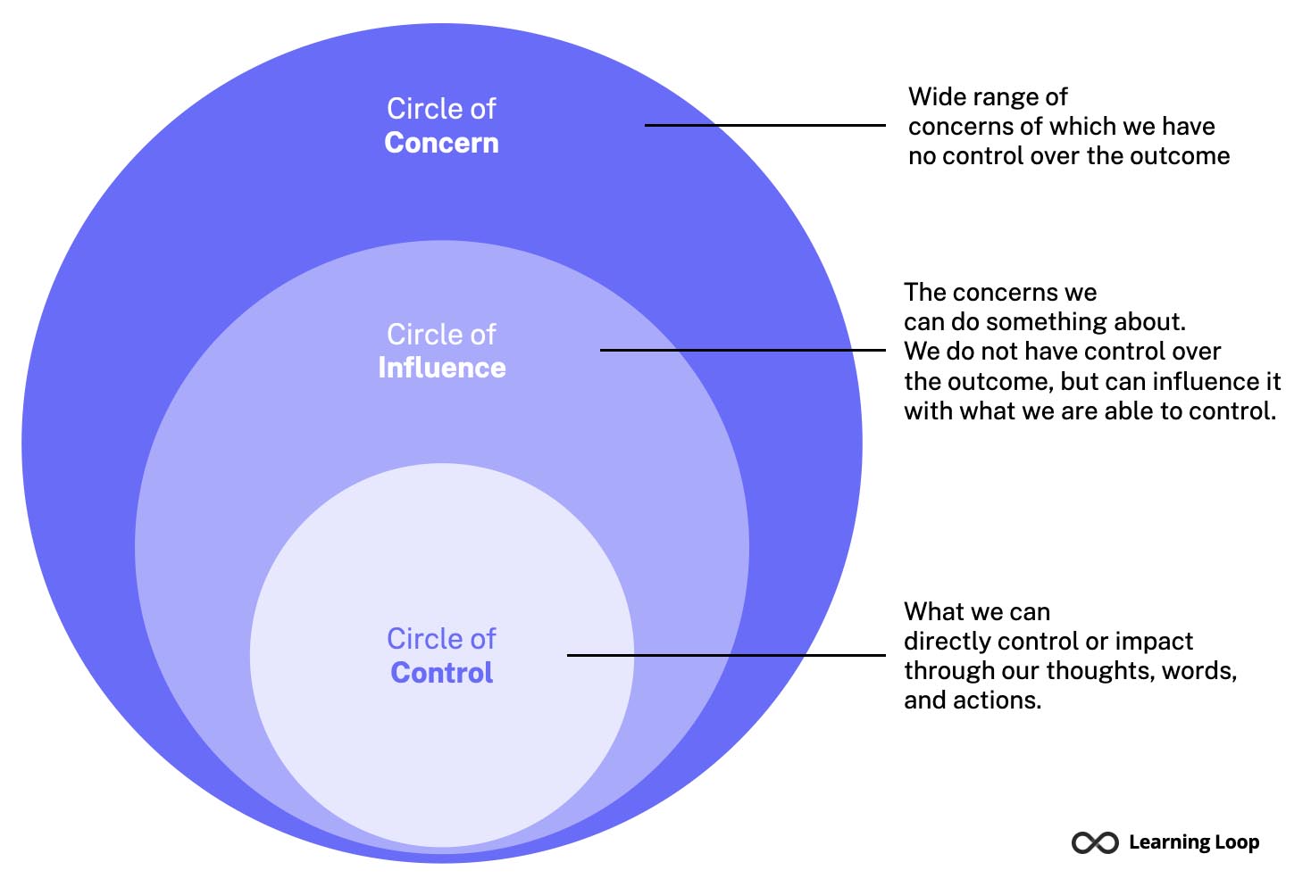 Examples Of A Circle Of Influence For Success