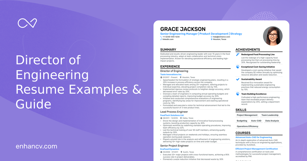 examples of a director of engineering resume