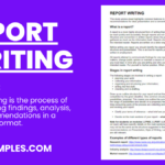 examples of a scientific report structure and components