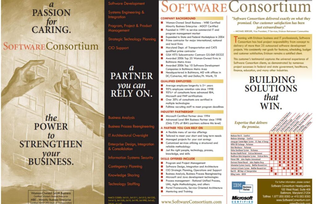 examples of a strong capability statement