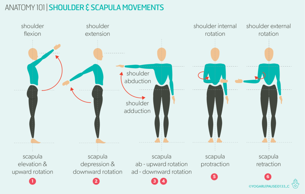 examples of abduction vs adduction in everyday movement