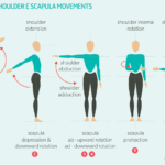 examples of abduction vs adduction in everyday movement