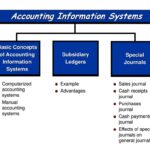 Examples of Accounting Information Systems for Businesses examples of accounting information systems for businesses