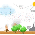 examples of aerosols and their impact on life