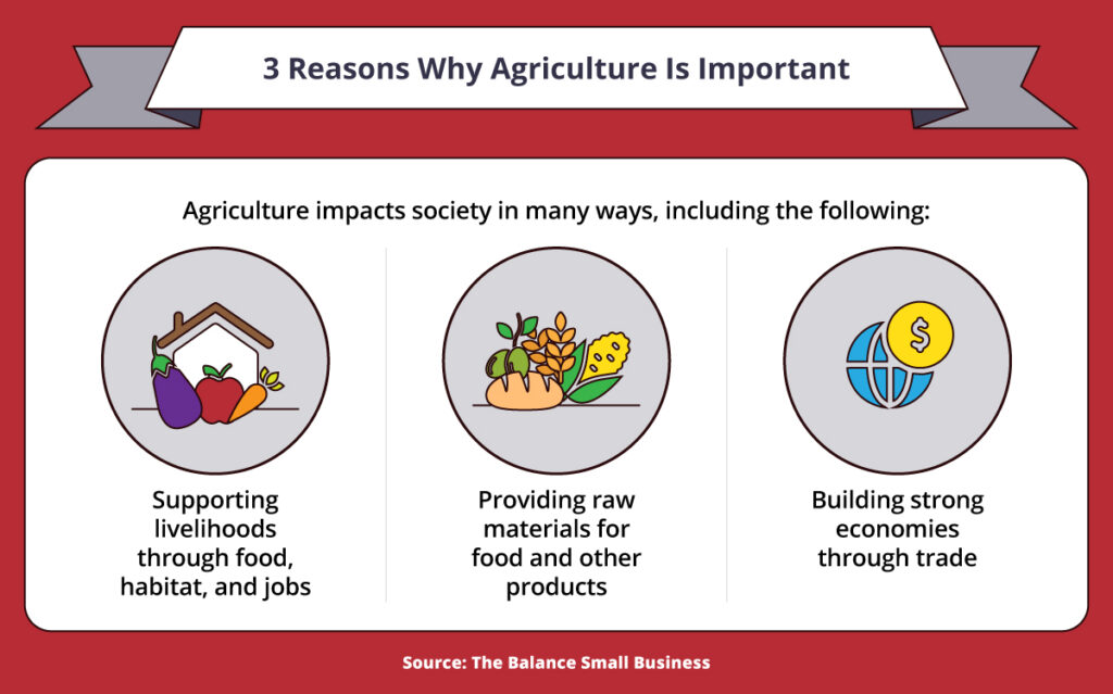 examples of agriculture shaping our world today