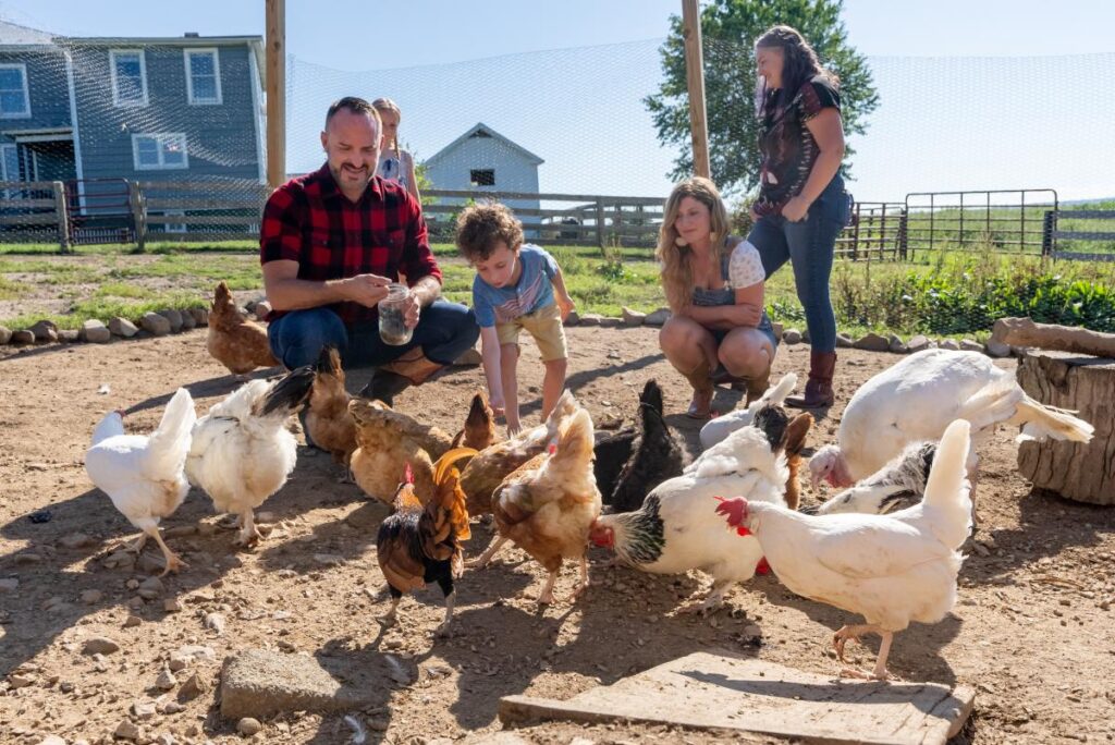 examples of agritourism experiences you cant miss