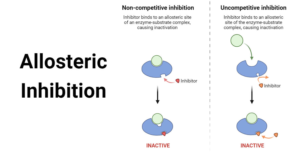 examples of allosteric regulation in biological processes