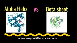 Helix Example Examples of Alpha Helix and Beta Sheet Structures