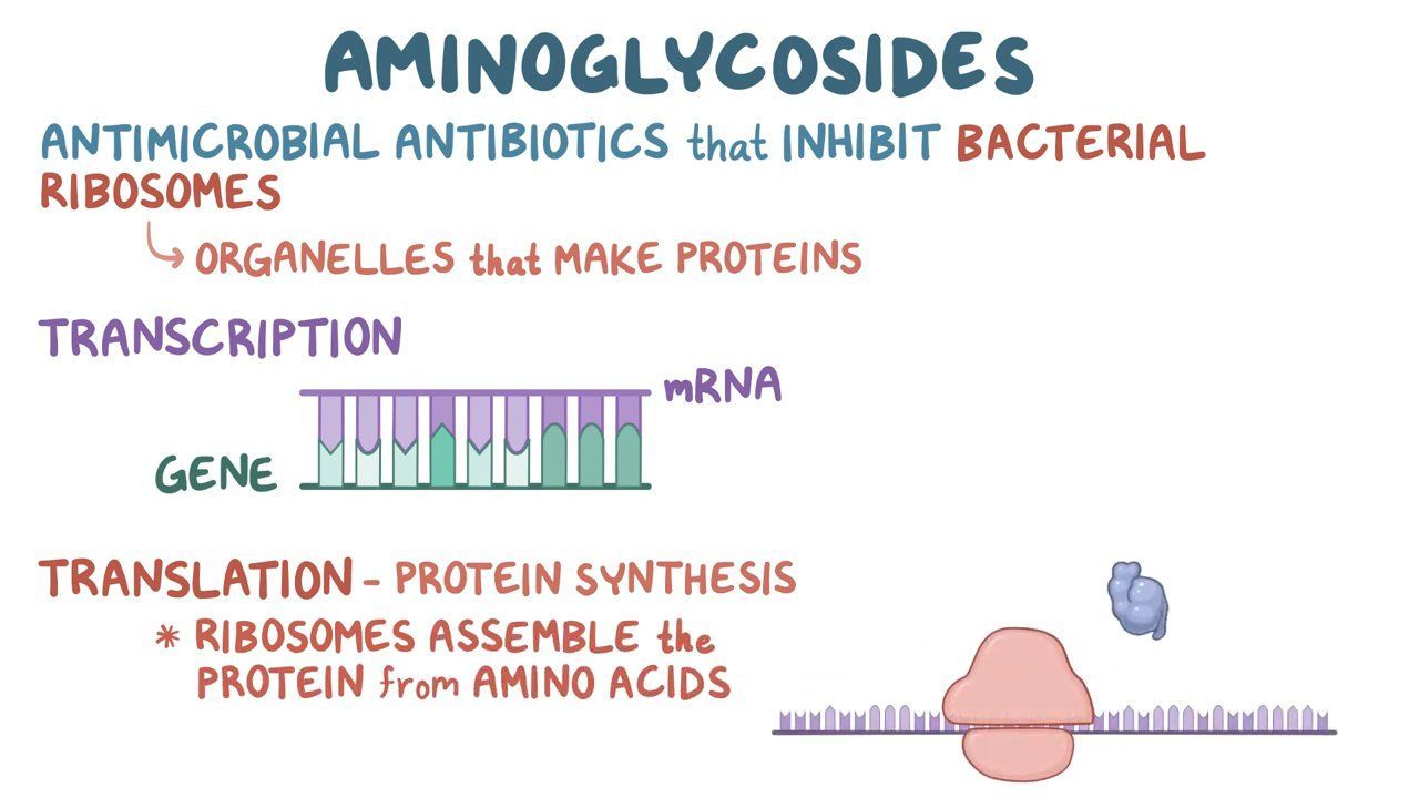 examples of aminoglycoside antibiotics explained