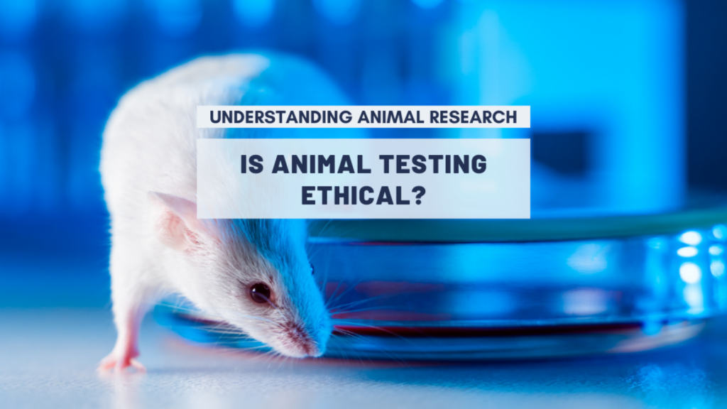 examples of animal testing ethics and impact explained