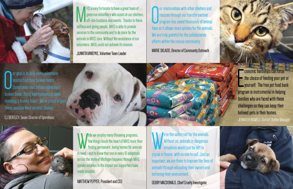 examples-of-animal-welfare-making-a-difference