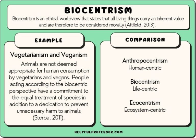 Examples of Anthropocentrism in Society