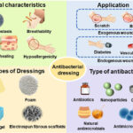examples of antimicrobial dressings for wound care