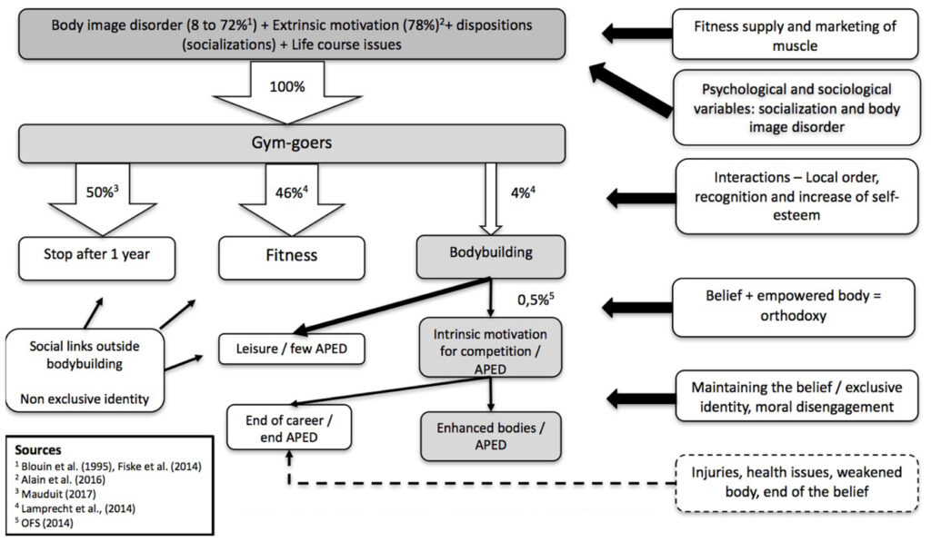 examples of apeds include essential adaptive practices