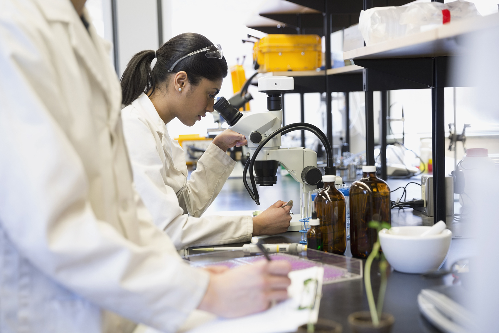 examples of applied science jobs in todays market