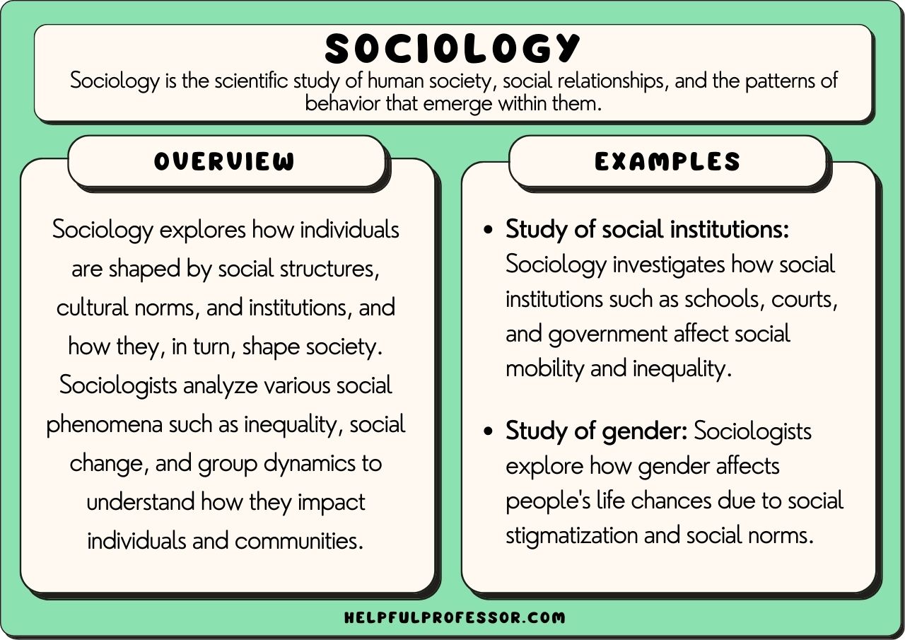examples of areas of sociology and their impact