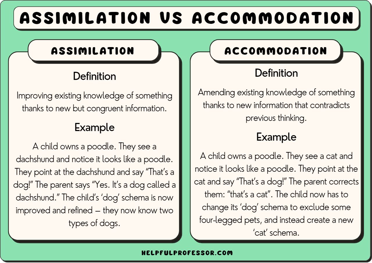 examples of assimilation vs accommodation explained