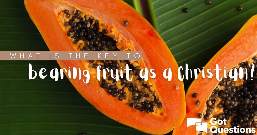 examples of bearing fruit in the bible key insights and stories