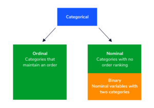 Examples of Binary Variables in Data Analysis