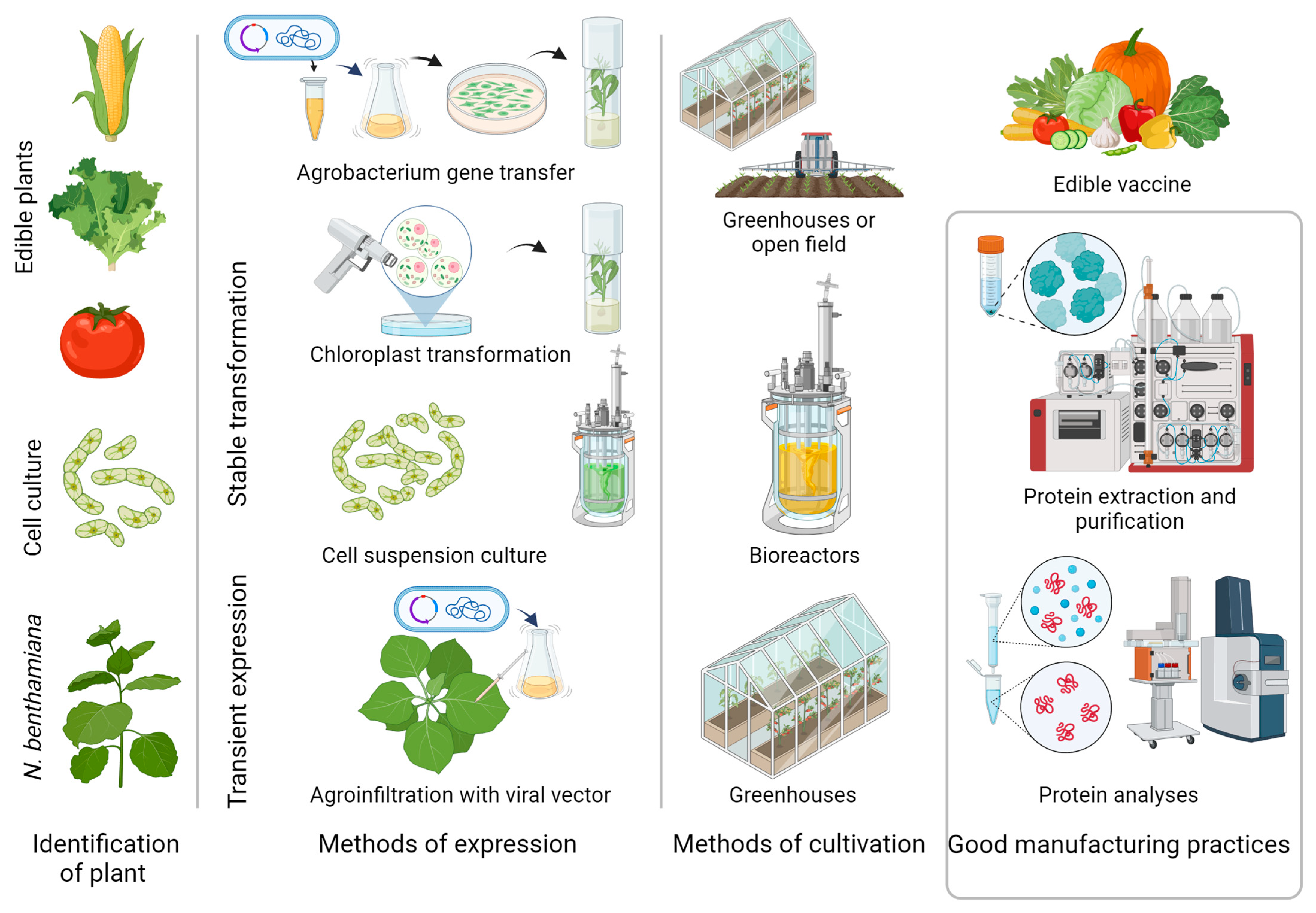 examples of biologics transforming modern healthcare