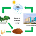 Examples of Biomass as a Sustainable Energy Source examples of biomass as a sustainable energy source