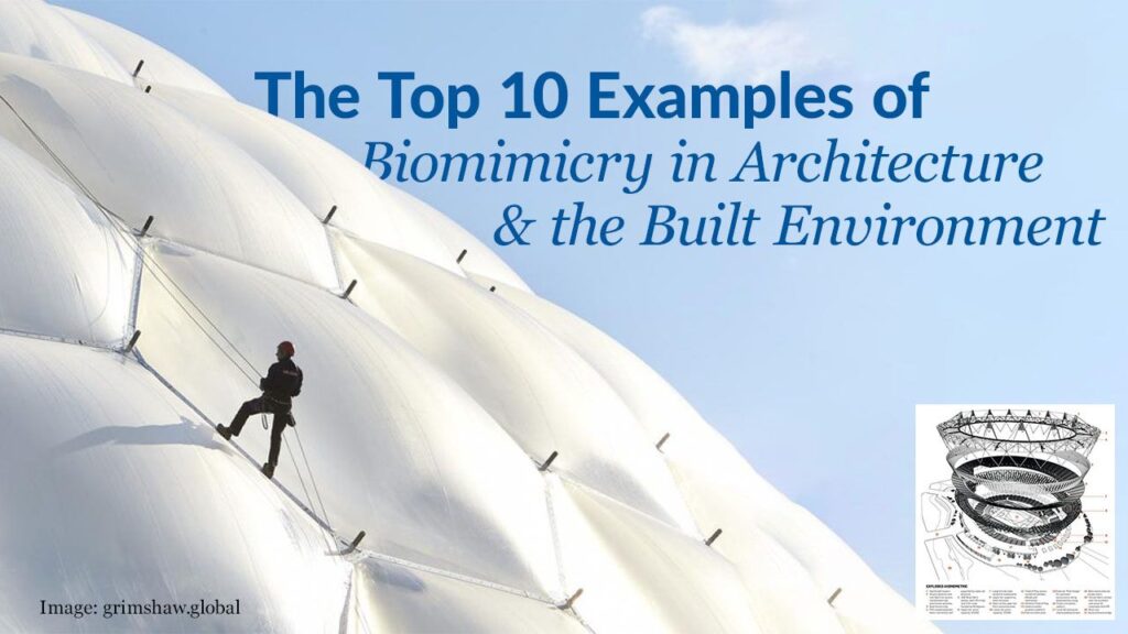 examples of biomimicry architecture worldwide