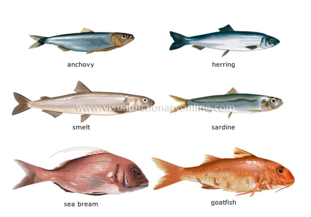 examples of bony fish in aquatic ecosystems