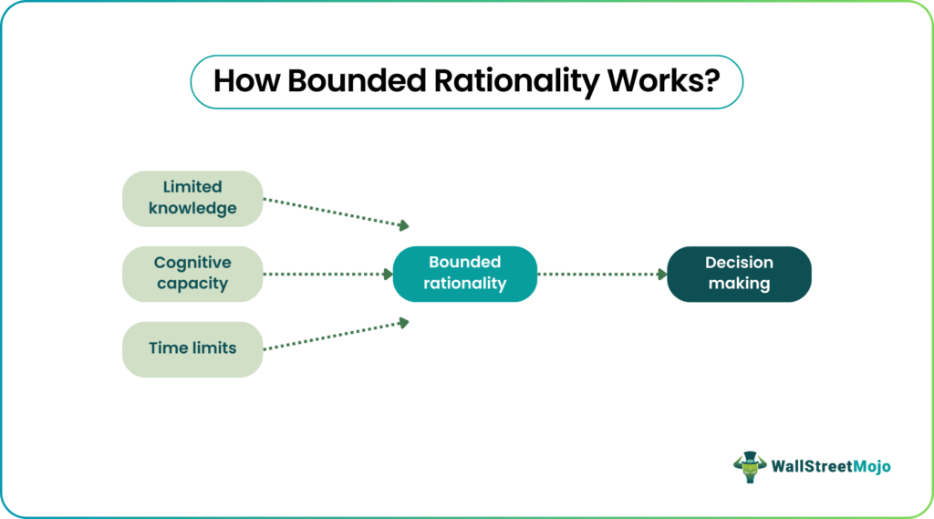 examples of bounded rationality in decision making