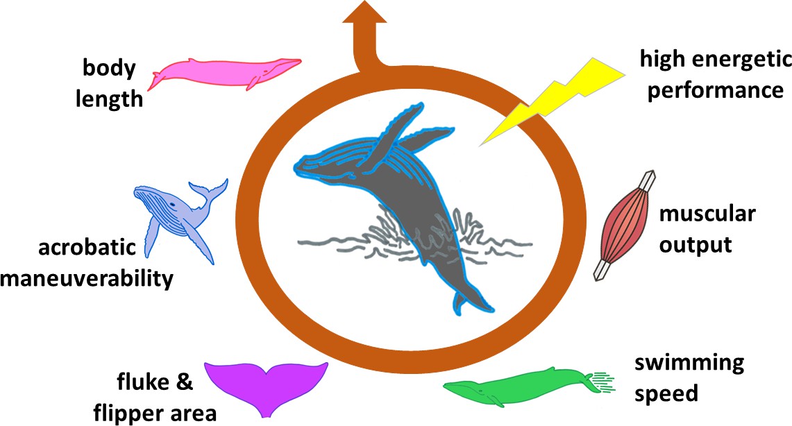 examples of breaching behavior in the united states