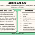 examples of bureaucracy in healthcare systems