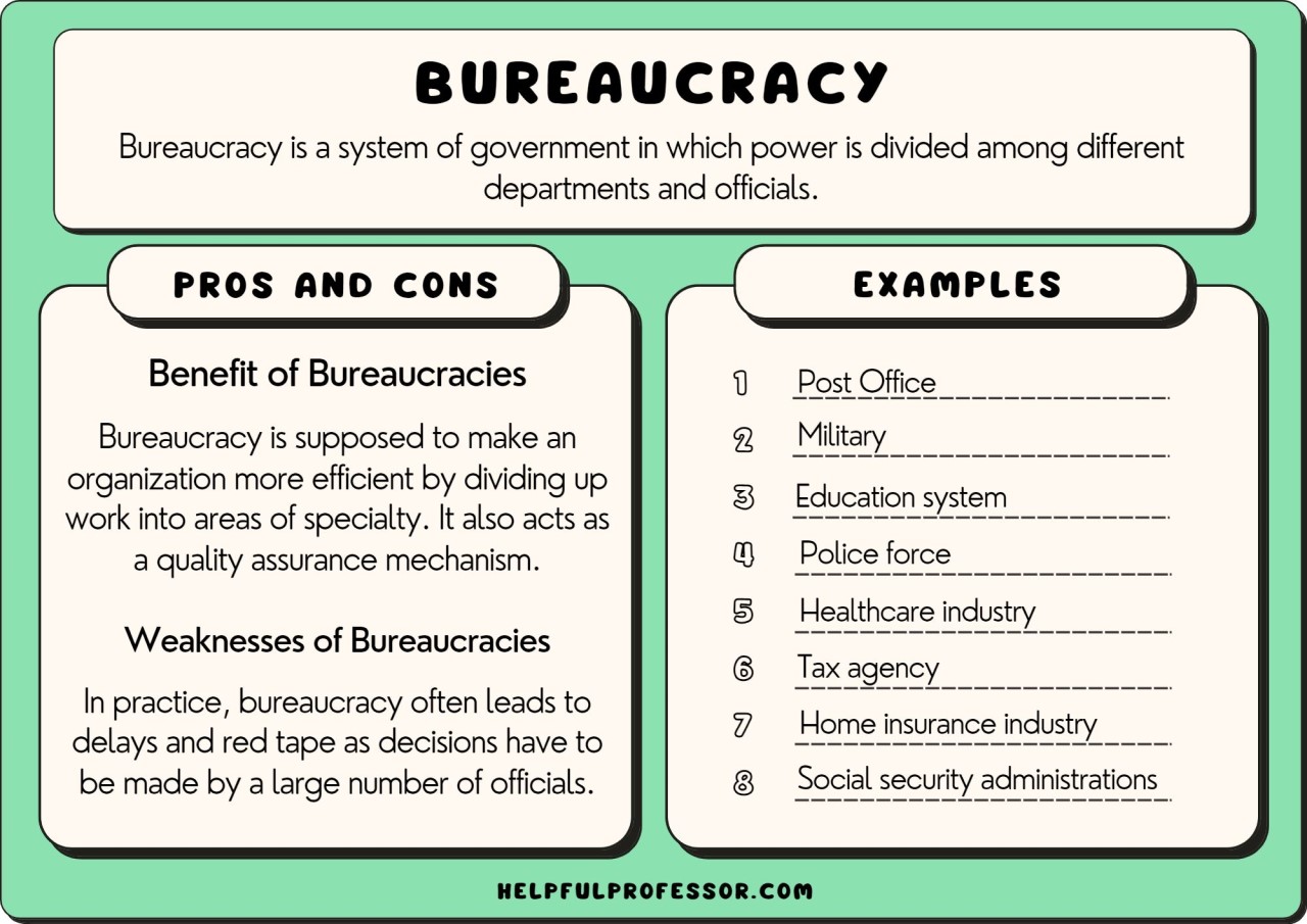 examples of bureaucracy in healthcare systems