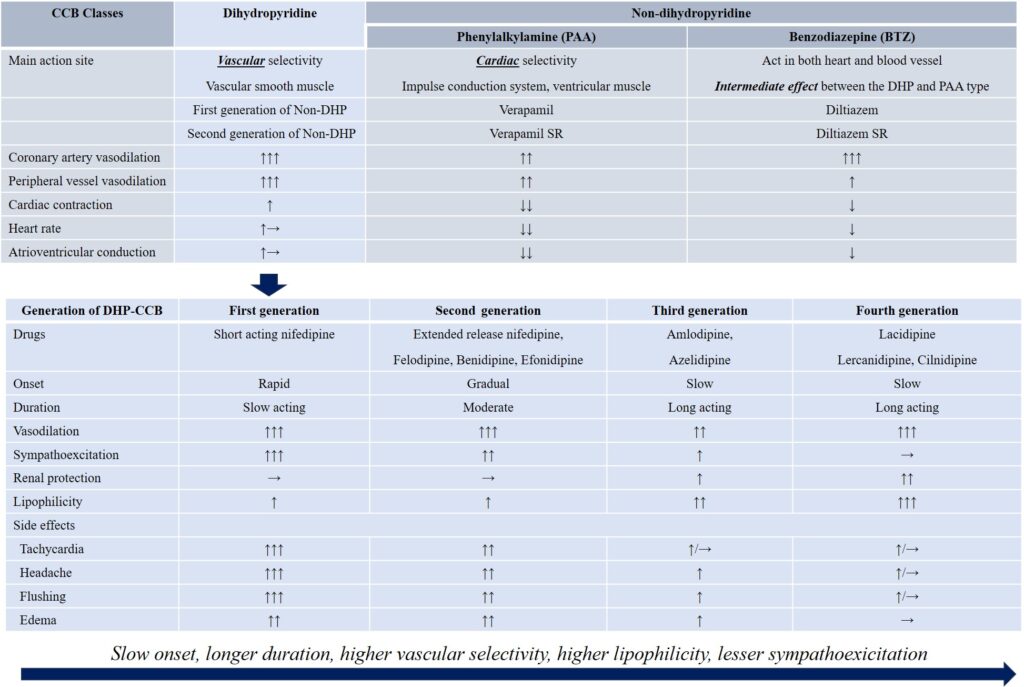 examples of calcium channel blockers and their benefits