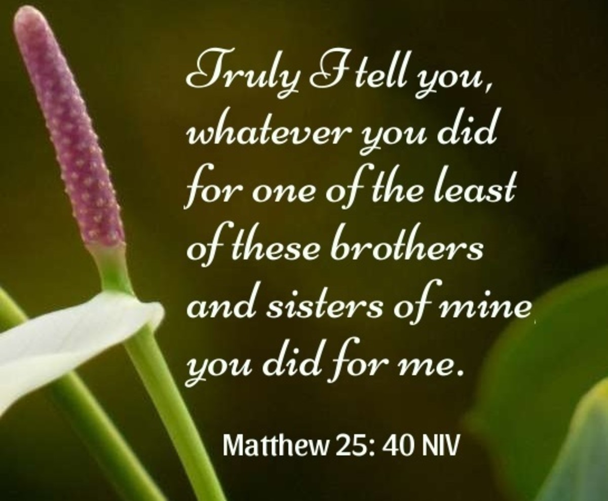 examples of caregivers in the bible lessons in compassion