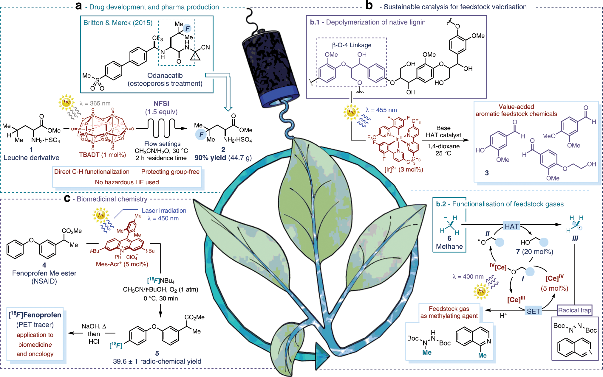 examples of catalysts in industry and nature