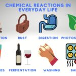 examples of chemicals and their impact on life